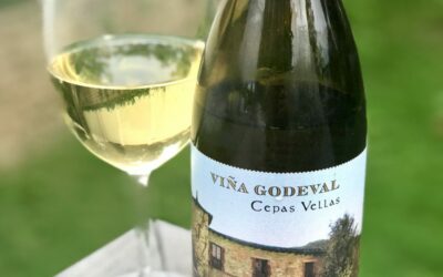 Wine Review: Vina Godeval Godello Cepas Vellas 2016