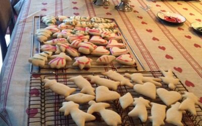 Seven Types of Cookies for Christmas: Day One