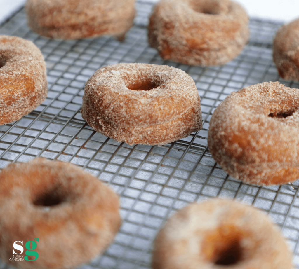 Norvegan Cider Donuts