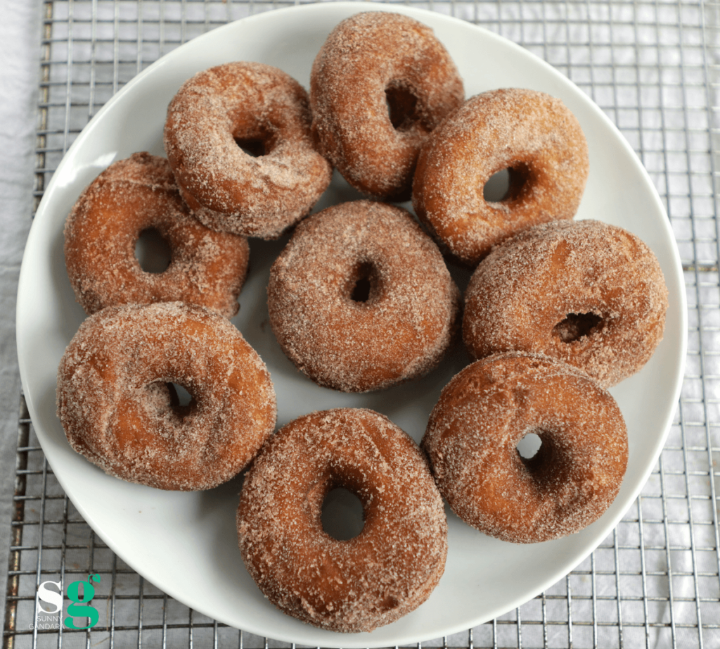 fried vegan donuts